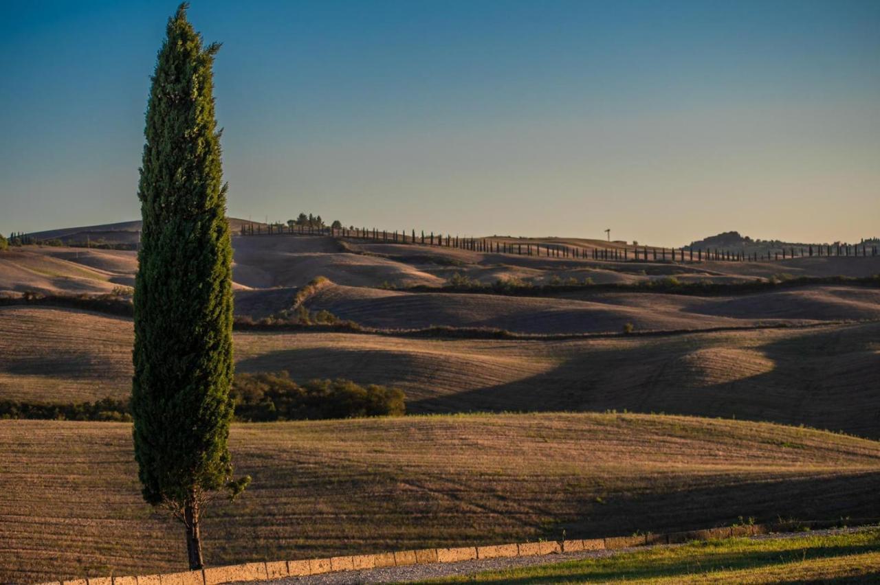 Casa Lavanda - Podere Fossaccio Asciano Eksteriør bilde